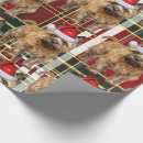 Recherche de terrier cairn papier cadeau Cairns