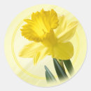 Recherche de pic photographie Nature