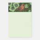 Recherche de hellebore posters Fleur sauvage