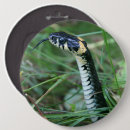 Recherche de serpents badges Faune