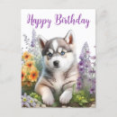 Zoek naar husky puppy kaarten Hondje