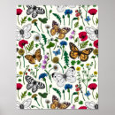 Zoek naar witte vlinder posters Botanisch