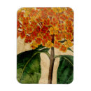 Recherche de vibrant magnets Botanique