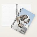 Recherche de chien de bernard bureau fournitures Chiot