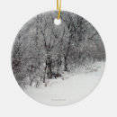 Recherche de neigeux ornements Photographie