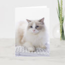 Recherche de claviers vœux cartes Mignon