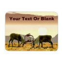 Recherche de caribou noël cartes Renne