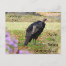 Recherche de kevin cartes postales Oiseau