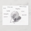 Recherche de kiwis cartes postales Nouvelle zélande