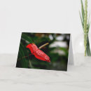 Recherche de tropical toutes vœux cartes Blanc