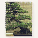 Recherche de bambou en spirale Arbre