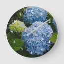 Zoek naar blauwe bloemen klokken Foto