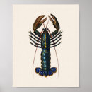 Zoek naar lobster kunst Illustratie