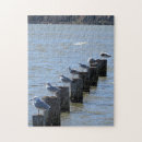 Recherche de mouette puzzles Eau