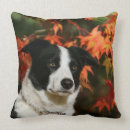 Recherche de de border collie coussins Headshot
