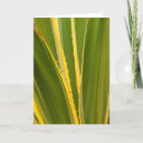 Recherche de agave vœux cartes Flore