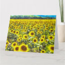 Recherche de van gogh sunflowers Impressionnisme
