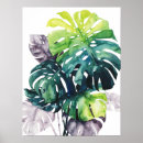Zoek naar palmen posters Botanisch