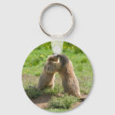 Zoek naar prairie sleutelhangers Marmot