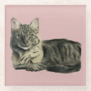 Recherche de chat minou de dessous de verres Animal