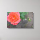 Recherche de pétale impressions sur toile Floral