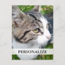Recherche de téléchargement cartes postales Image