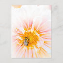 Recherche de pollinisation posters Pollinisateur