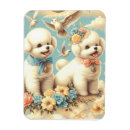 Recherche de frise bichon magnets Chiot