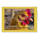 Zoek naar rehab briefkaarten Ziekenhuis