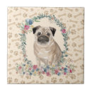 Recherche de carlin carreaux Adorable