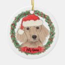 Zoek naar teckel kerstdecoratie Hond moeder