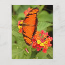 Recherche de papillon orange cartes postales Fleur