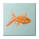 Recherche de poissons tropicaux carreaux Côtier