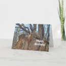 Recherche de deer anniversaire cartes Faune
