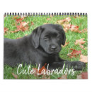 Recherche de labrador calendriers Amoureux de les chiens