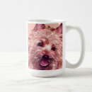 Recherche de terrier cairn tasses Animaux familiers
