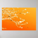 Recherche de couleur pêche posters Dégradé