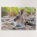 Recherche de kangourou puzzles Nature