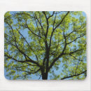 Recherche de nature tapis souris Arbre