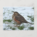Recherche de oiseau de jardin cartes postales Neige