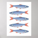 Recherche de sardines art Poisson