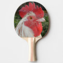 Recherche de coq raquettes ping pong Oiseau