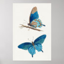 Recherche de illustration botanique posters Rétro