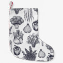 Recherche de légume chaussette de noël Motif