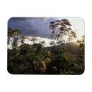 Recherche de tanzanie magnets Safari