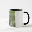 Recherche de thor tasses Muqueuse