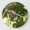 Recherche de brindille horloges Nature