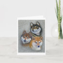 Recherche de inus de shiba Dogs