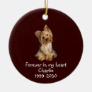 Recherche de yorkie animaux mémoriaux Animal