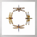 Zoek naar libellen posters Natuur